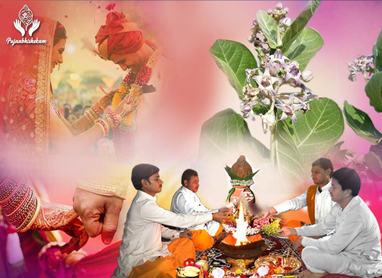 Book Online Pandit Ji for Ark Vivah Pujaabhishekam